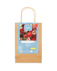 Colour Blends Spring Flower Mix