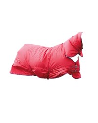 Crane Equestrian Turnout Rug