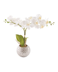 Kirkton House White Faux Orchid