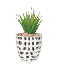 Dash Patterned Pot Plant