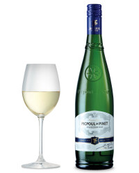 Exquisite Picpoul De Pinet