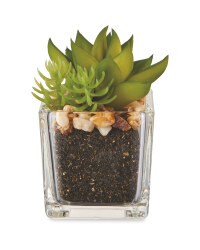 Artificial Garden Succulent