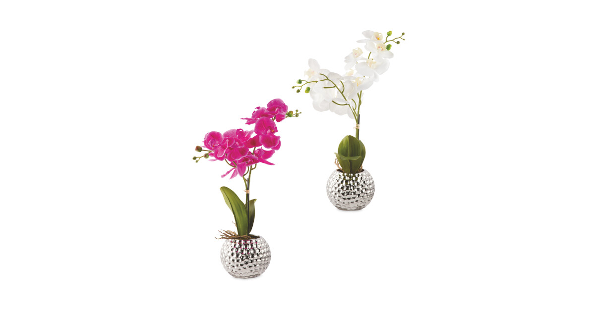 Faux Orchid Aldi Uk
