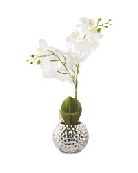 Faux Orchid - White