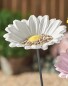 Flower Cup Bird Feeder - White