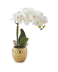 Gold Pot Artificial White Orchid