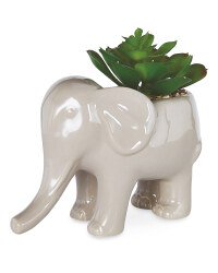 Grey Elephant Pot Plant