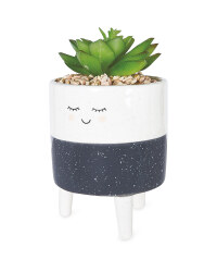 Grey Freckle Smiley Face Pot Plant