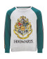 Grey & Green Harry Potter Sweatshirt