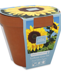 Grow Your Own Sunflower/Sweet Pea