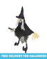 Halloween Animated Flying Witch