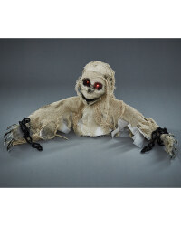 Halloween Ground Breaker