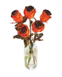 Halloween Inspired Roses