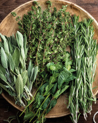 The Green Garden Herb Planter