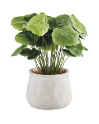 Dollar Leaf Artificial Plant