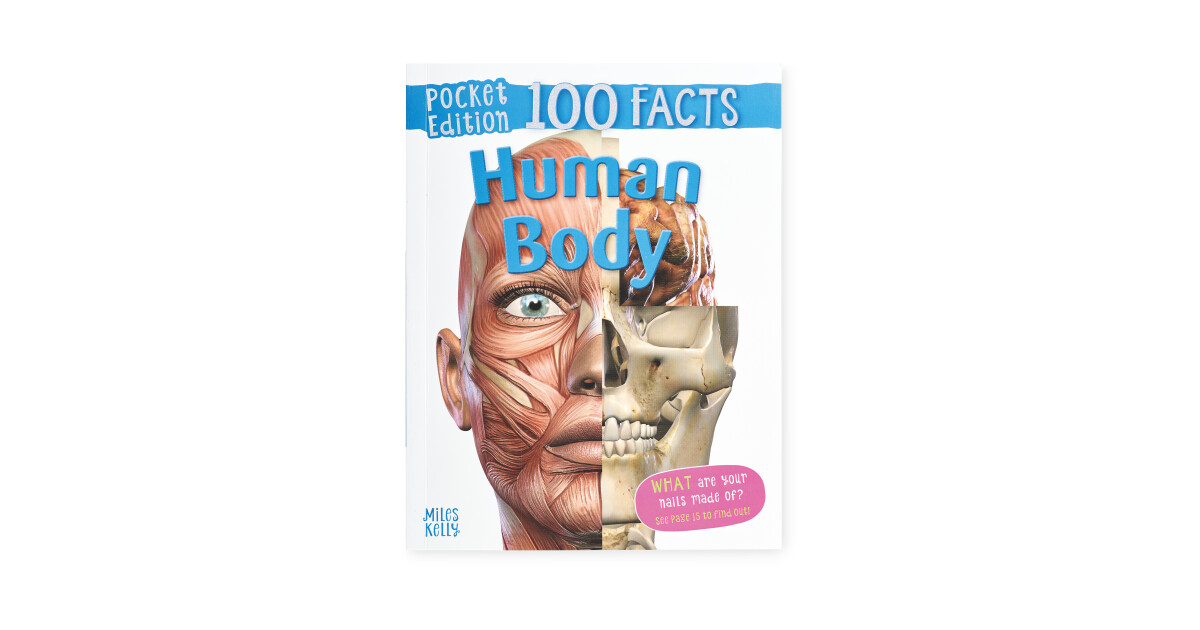 Human Body 100 Pocket Facts Book - ALDI UK