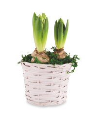 Hyacinth Willow Basket