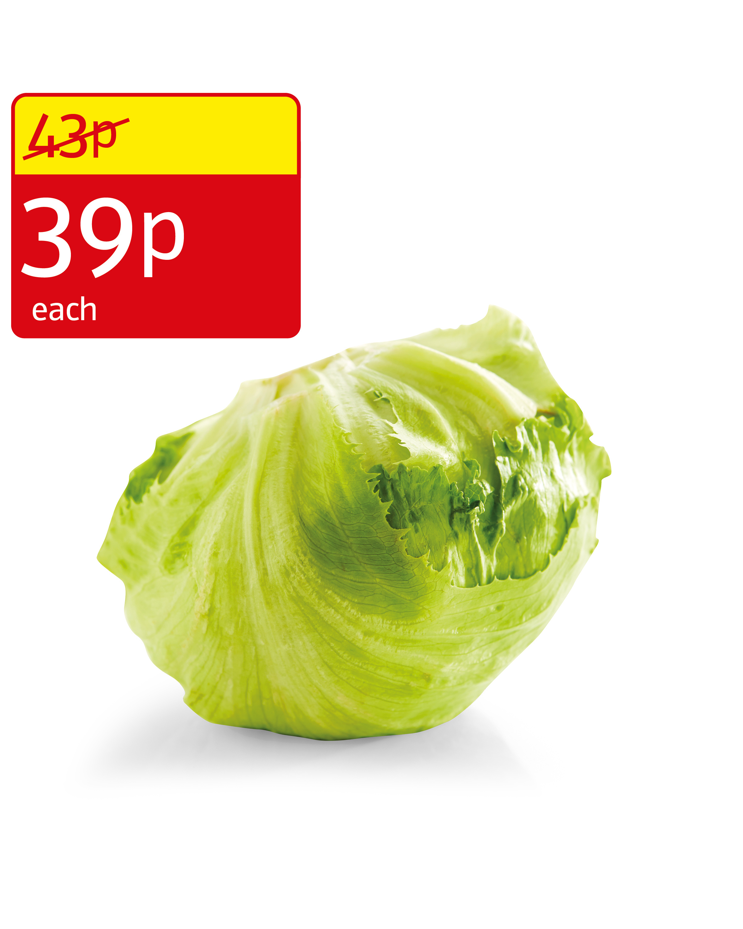 Iceberg Lettuce