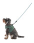 Khaki Green Dog Coat Harness
