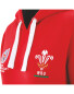 Ladies' Wales Rugby Hoody