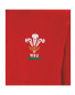 Ladies' Wales Rugby Long Sleeved Top