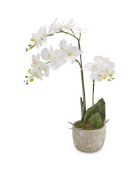 Large Faux Orchid In Pitted Pot