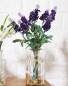 Lavender in Glass Vase