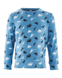 Lily & Dan Kids' Dinosaur Sweatshirt