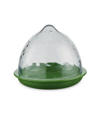Lime Food Storage Pod-Clear