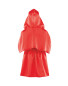 Little Red Riding Hood Fancy Dress