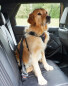 Medium/Large Dog Seat Belt Harness