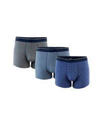 Men's Assorted Striped Hipsters