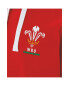 Men's Wales Rugby Hoody