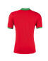 Men's Wales UEFA Football Polo Shirt