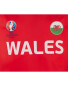 Men's Wales UEFA Football Shirt