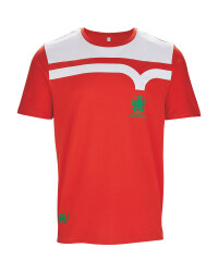 UEFA Men's Wales Fan Shirt