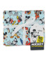 Mickey Mouse Fabric Quarters Blue