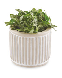 7cm Mini Premium Foliage