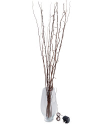 Natural Colour Twigs