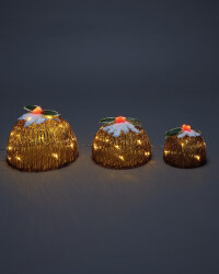 LED Novelty Parcels