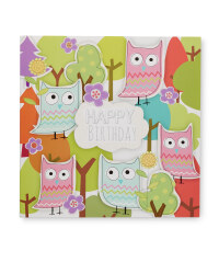 2 Pack Birthday Card - Owl