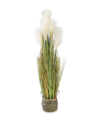 Pampas Grass In Basket