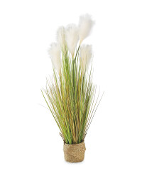 Pampas Grass In Natural Basket