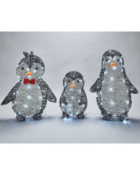 Black & White Penguin Family