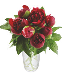 Peony Bouquet