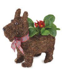Perfect Christmas Doorstep Dog