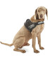Pet Collection Slip On Dog Harness