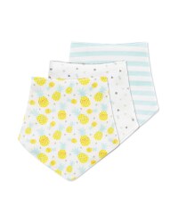 Lily & Dan Pineapple Bibs 3 Pack