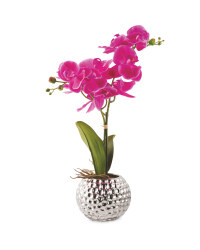 Kirkton House Pink Faux Orchid