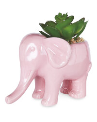 Pink Elephant Pot Plant